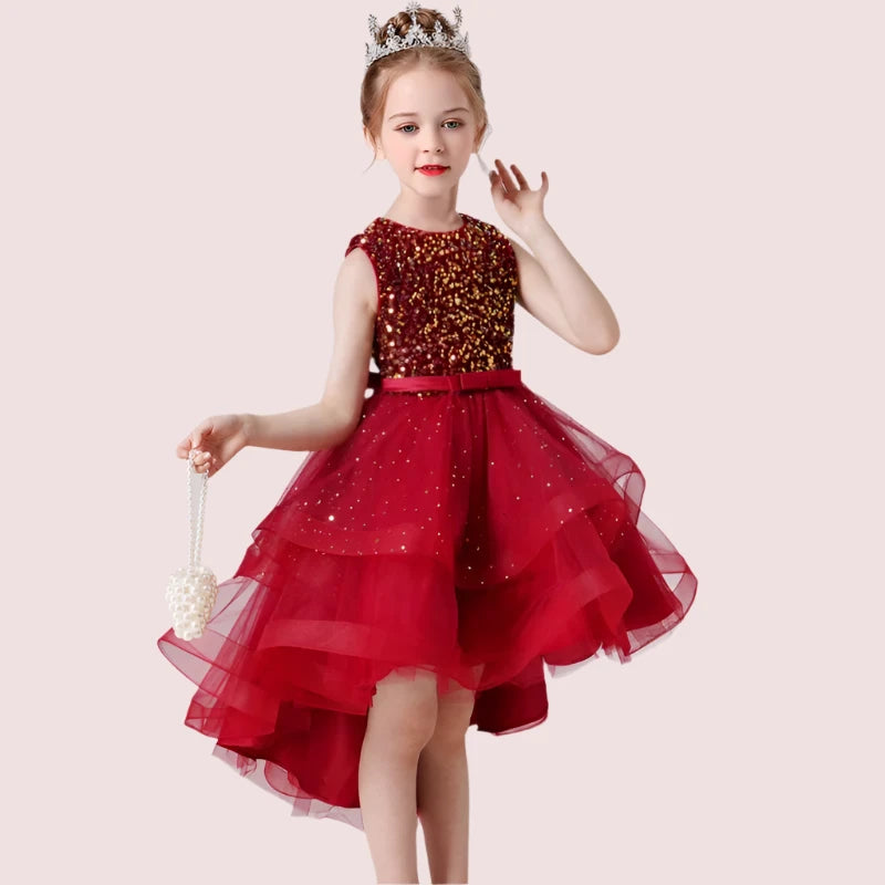 Princess Sequin Lace Dress