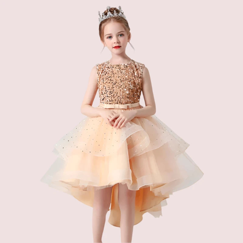 Princess Sequin Lace Dress