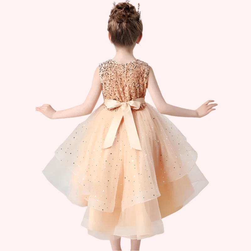 Princess Sequin Lace Dress