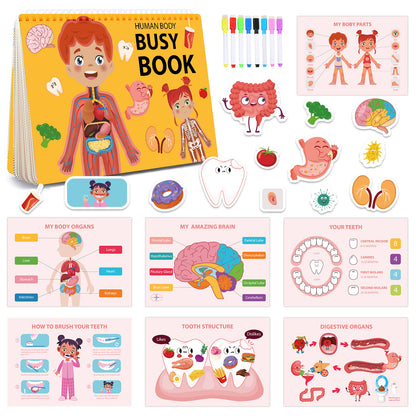 Human Anatomy Busy Book